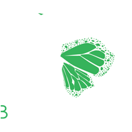 BigFrame VFX